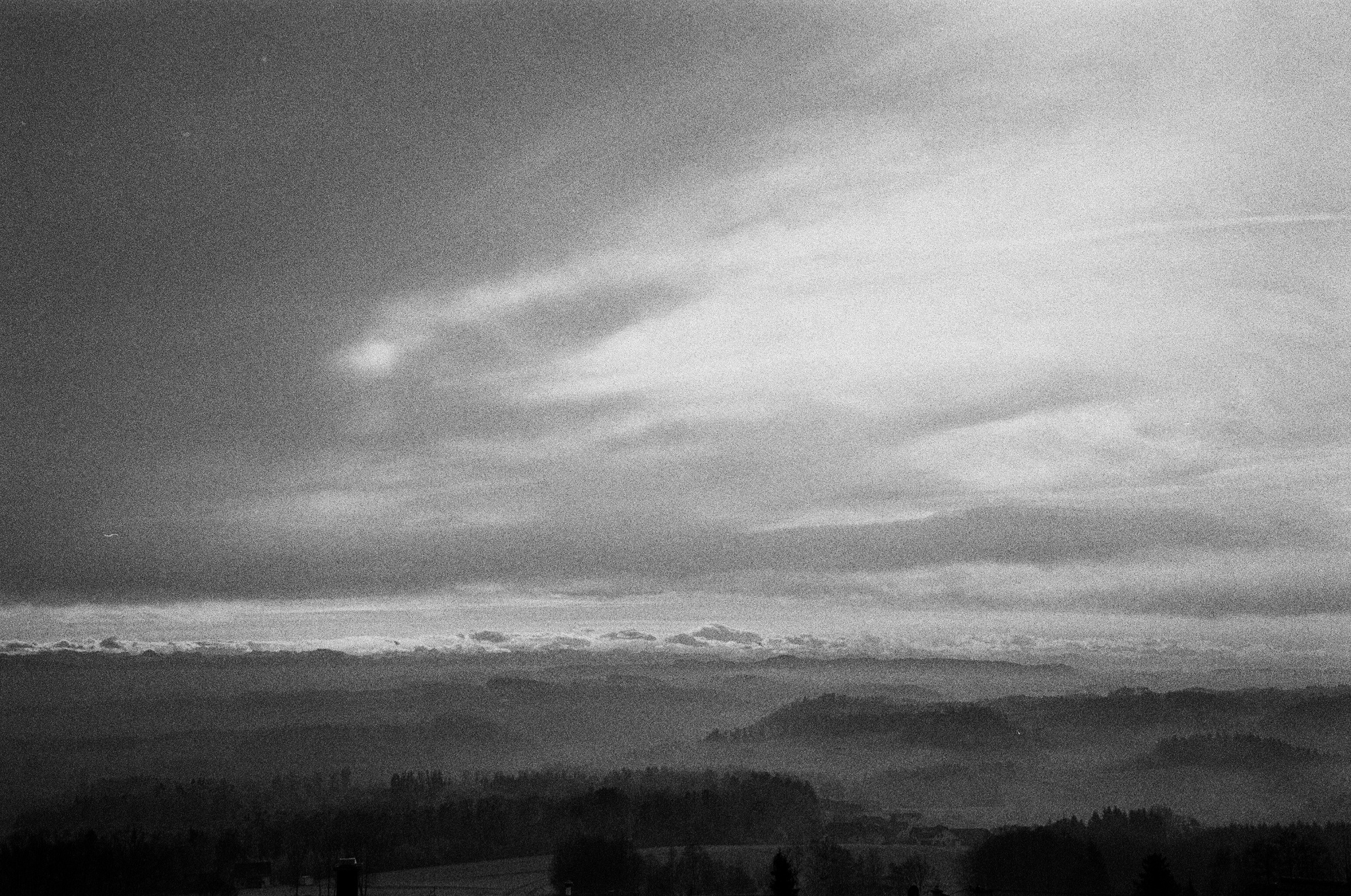 DAY -31 Home